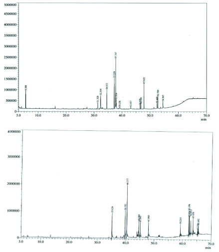 Gas chromatography spectra of lipid fraction of flounder serum. Top: DB-1 column, down: TR-5 column