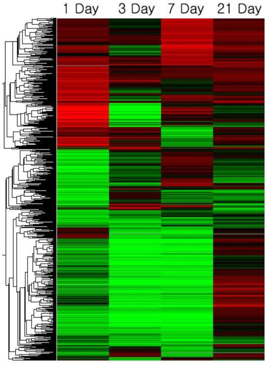 Clusting for DNA microarray chip