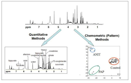 대사체학(metabolomics) 연구 방법의 예