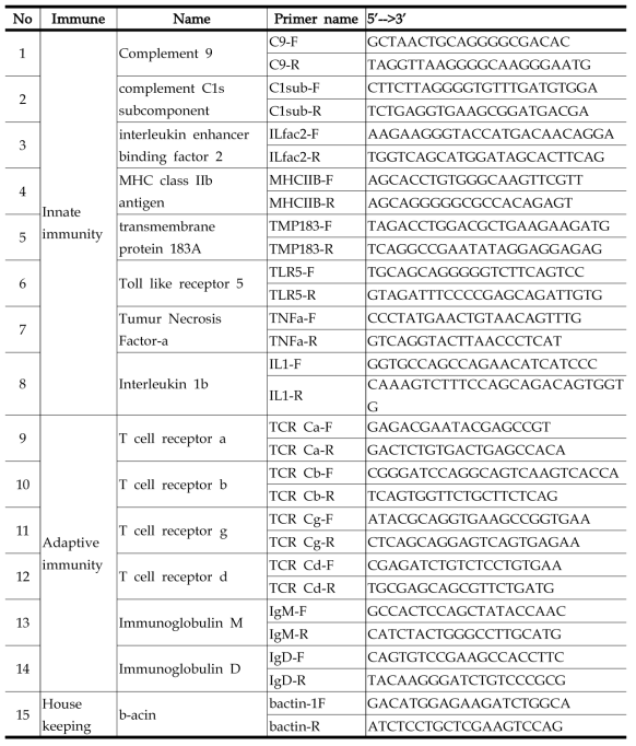 Primer for Real time PCR