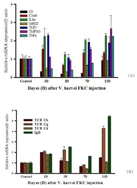 RT-PCR after injection of Innate immune related genes(A) and adaptive immune related genes(B)