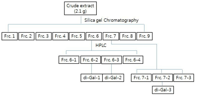 Scheme for compounds isolation from seaweed