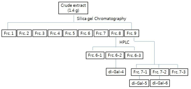 Scheme for compounds isolation from seaweed-associated bacteria