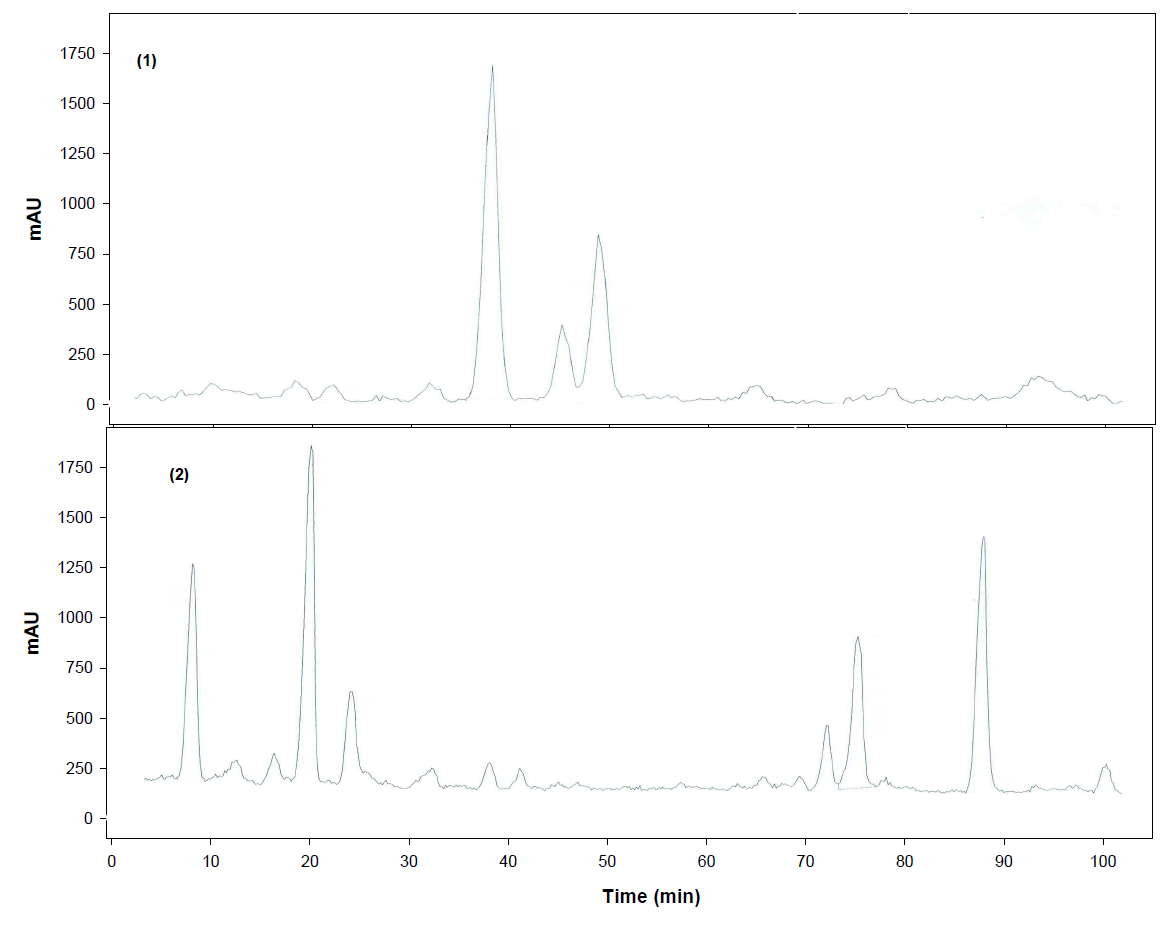 HPLC for compounds isolation from seaweed-associated bacteria