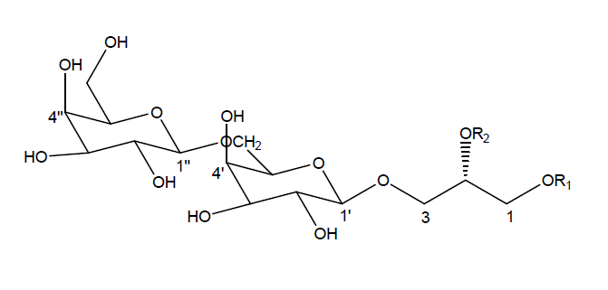 Structure of compounds isolated from seaweed-associated bacteria