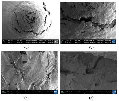 SEM images of specimen surface and its fracture surface after the small punch test for the as-received material (a) 82X (b) 217X (c) 883X (d) 1680X