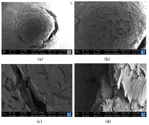 SEM images of specimen surface and its fracture surface after the small punch test for the hydrogen charged specimen (25 hours) (a) 66 (b) 145X (c) 508X (d) 949X