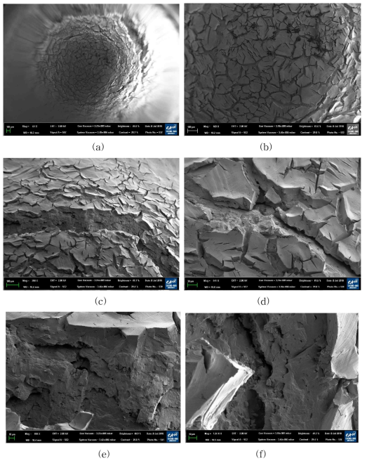 SEM images of specimen surface and its fracture surface after the small punch test for the hydrogen charged specimen (48 hours) (a) 61X (b) 169X (c) 208X (d) 541X (e) 920X (f) 1340X