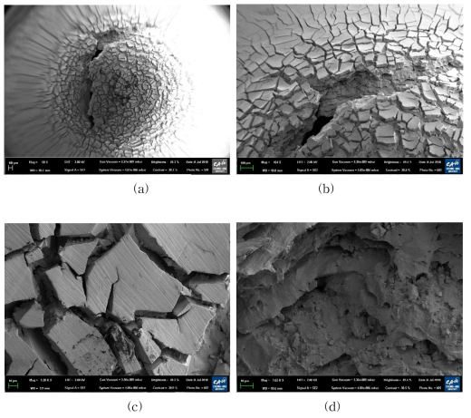 SEM images of specimen surface and its fracture surface after the small punch test for the hydrogen charged specimen (96 hours) (a) 58X (b) 164X (c) 1200X (d) 2860X