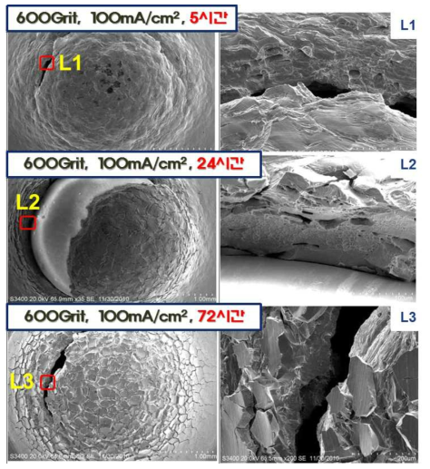 SEM Micrograph of charged specimen surface (at Room temp.)