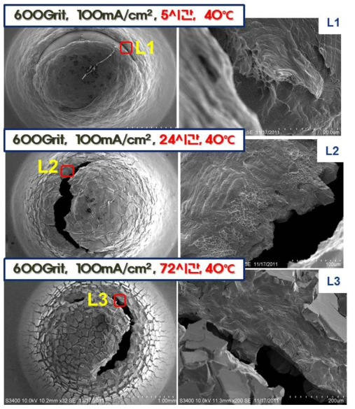 SEM Micrograph of charged specimen surface (at 40℃)