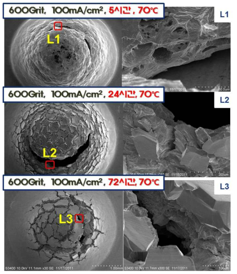 SEM Micrograph of charged specimen surface (at 70℃)