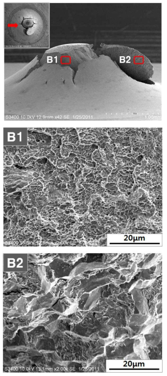 SEM image of fracture surface after small punch testing for the specimen before heat treatment (Charging time: 10 hours)