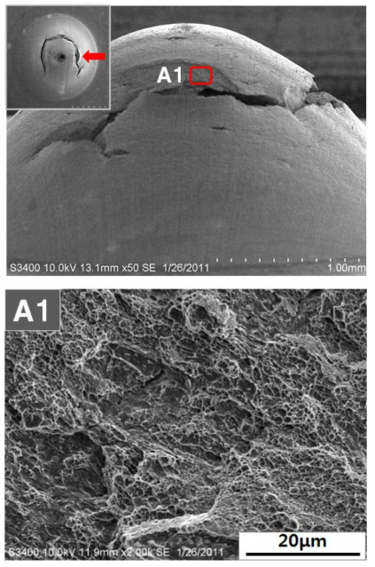 SEM image of fracture surface after small punch testing for the specimen after heat treatment (Charging time: 10 hours)