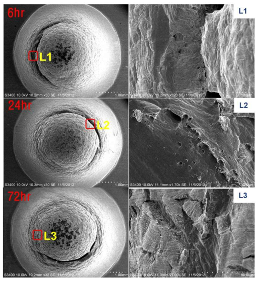 SEM Micrograph of charged specimen surface (Room Temp.)