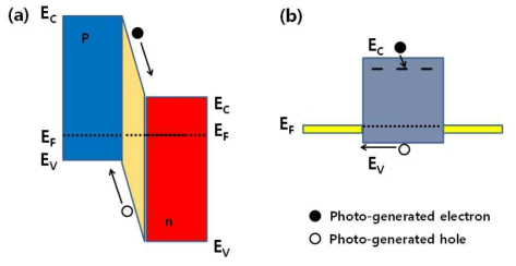 (a) 태양전지의 광전압의 생성원리 (b) 광센서의 photocurrent gain의 생성 원리