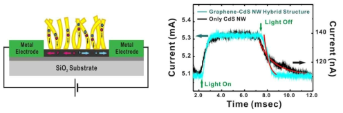 그래핀-CdS나노선 융합소재를 보여주는 모식도(왼쪽)와 그 소재의 빨라진 광전자 반응 속도를 보여주는 선행 연구결과(오른쪽)