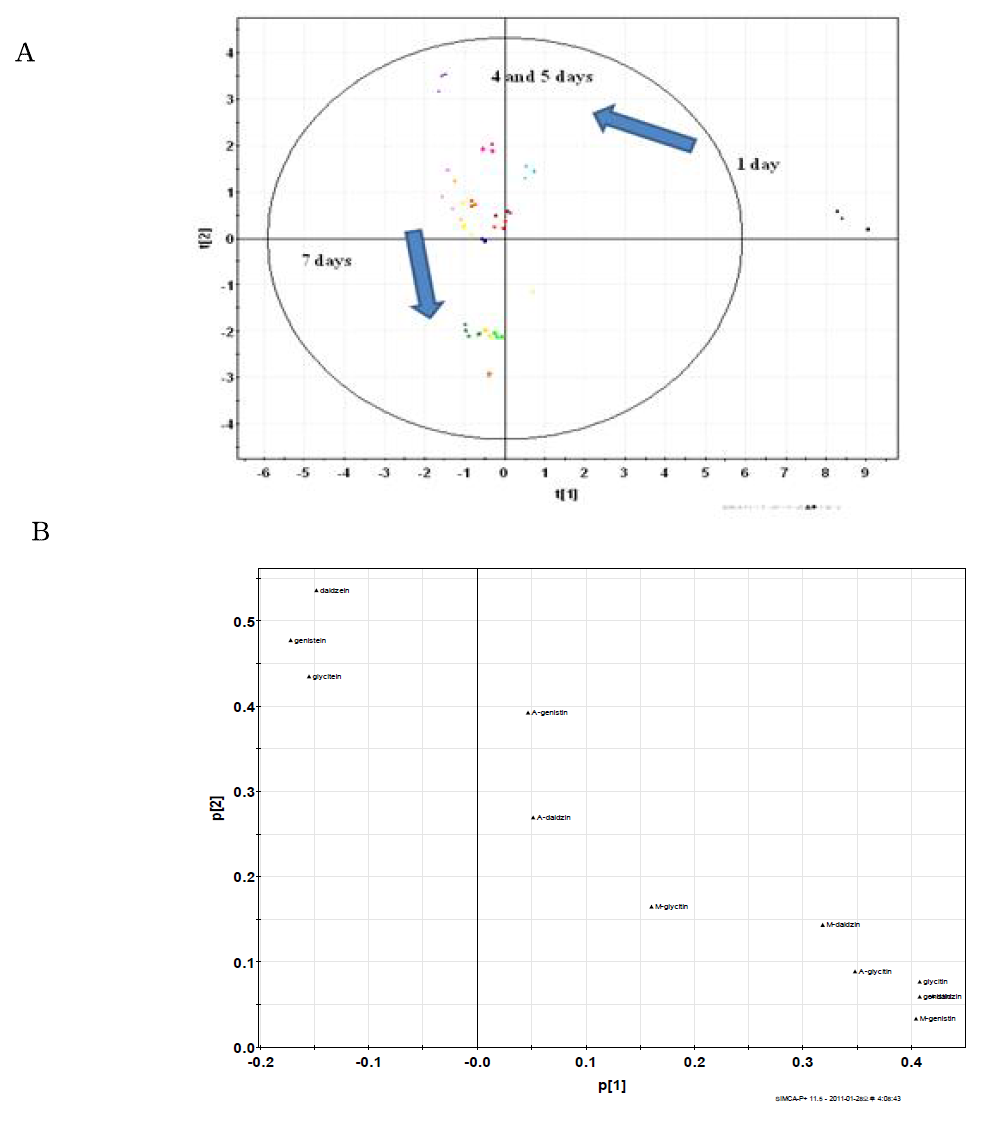 Score plot (A) and PCA loading (B) of isoflavone profile in cooked soybean according to fungal fermentation period