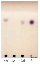 Hydroysis pattern of arabinofurnosidase on arabinan as substrate. Lane NAf, arabinan reacted with New arabinofuranosidase; Lane Ar, arabinan; Lane CAf, arabinan reacted with control arabinofuranosidase; Lane A, arabinose