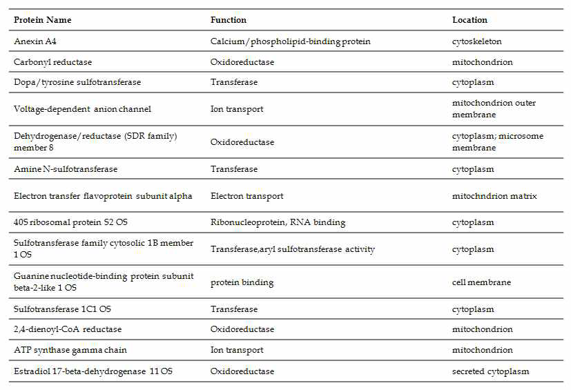 Identification of intestinal proteins bound by soy protein as analyzed by LC-MSMS