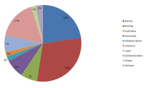 Funtional classification of cytosolic protiens