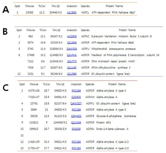 Major secreted proteins of A.wamori, A.orizae NL28 and A.orizae KCCM60166 identified by PMF using Maldi-TOF