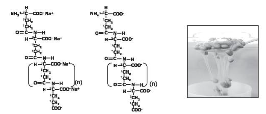 PGA 구조 및 전통청국장 (Moon, HS 등. Natural and edible biopolymer poly-Υ -glutamic acid: synthesis, production, and applications. The Chemical Record, 5: 352-366. 2005)