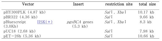Vectors used for the cloning of pgsBCA