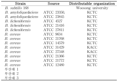 Microorganisms used for RAPD-PCR