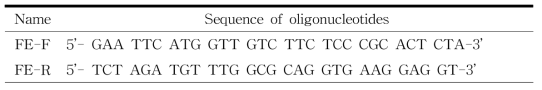 Oligonucleotide sequence of primer for FEase used in this study