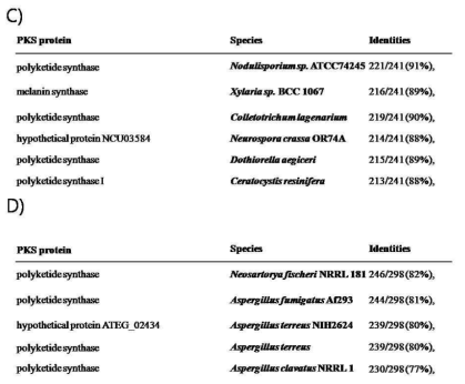 Identification of NR KS domain sequence and homology with other polyketide synthase sequence. C) Group 4, Arthrium sp.; D) Group 5, Asp. sydowii