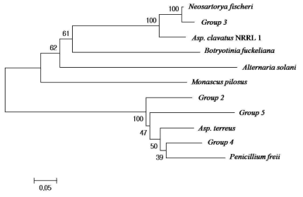 Neighbor-joining phylogenetic tree of PR KS domain PKS inferred by Neighbor-joining method (bootstrapped consensus tree in MEGA 4.0, number of replicates = 1000). Group 2, Asp. oryzae; Group 3, Asp. fumigatus; Group 4, Arthrinium sp.; Group 5, Asp. sydowii