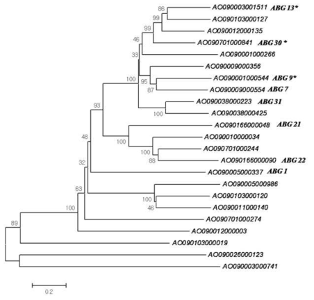 Phylogenetic tree of putative β-glucosidases gene, main targeted genes have a apostrophe point