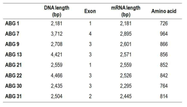 Main targeted β-glucosidase genes in this study