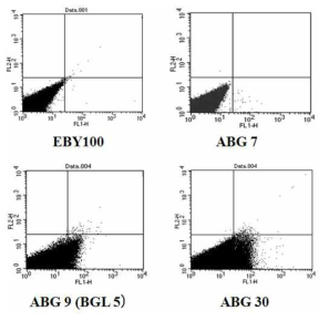 FACS analysis of yeast surface displayed enzymes