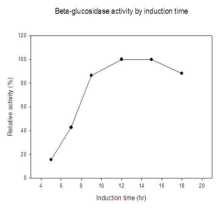 Time course of displayed ABG30 acitivity by induction time