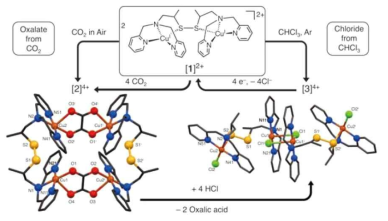 Dinuclear Copper (I) Complex를 이용한 CO2의 Oxalic Acid로의 자원화 (R. Angamutha, P. Byers, M. Lutz, A. L. Speck, E. Bouwmann, Science 327 (2010) 313)