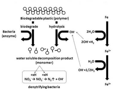 생분해성 플라스틱의 분해와 탈질소반응 메커니즘(Takamichi Soejima, Masako Itoh, Satoshi Imamura, Water Air Soil Pollut, (2010) 403)
