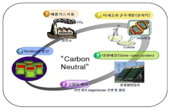 미세조류를 활용한 생물 자원화 기술 개발