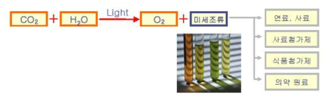 미세조류에 의한 CO2로부터 생물제품 생산 개략도