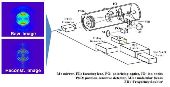 Velocity map ion imaging 실험 장치: 진공속의 초음속 jet에서 만들어진 냉각된 분자에 정확한 에너지의 레이저펄스를 주사하여 광분해 되는 생성물의 병진에너지 및 각분포를 동시에 CCD 카메라로 받는다. 왼쪽에는 산소 분자의 광분해에서 생성된 산소원자 양이온의 병진에너지 및 각분포를 보여주고 있다