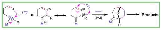백금촉매의 삼중결합 활성화 및 [3+2] 고리화 반응