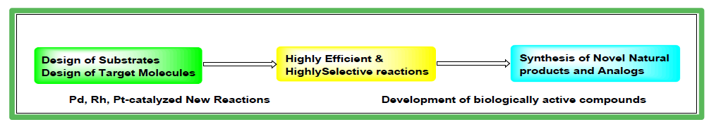 Theme of Reasearch: High Efficiency, High Selectivity, & High Applicability