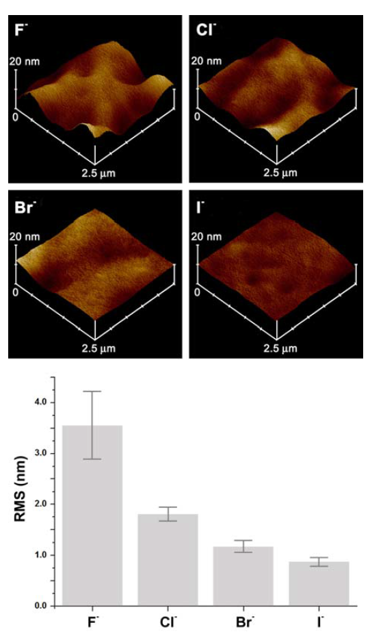 q-PDMAEMA 박막에 대한 음이온의 영향을 관찰한 AFM 사진과 치환된 음이온에 의해서 고분자 표면의 roughness가 달라짐을 보여주는 그래프