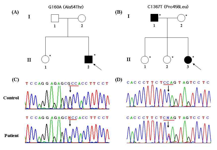 미토콘드리아 질병이 있는 환자들에서 발견된 MFN2 돌연변이 (MT41 가족; G160A(Ala54Thr). MT9 가족; C1367T(Pro456Leu)