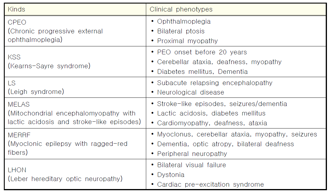미토콘드리아성 근신경증의 종류와 특징
