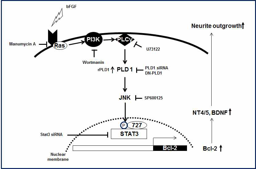 3년차 결과의 signaling model