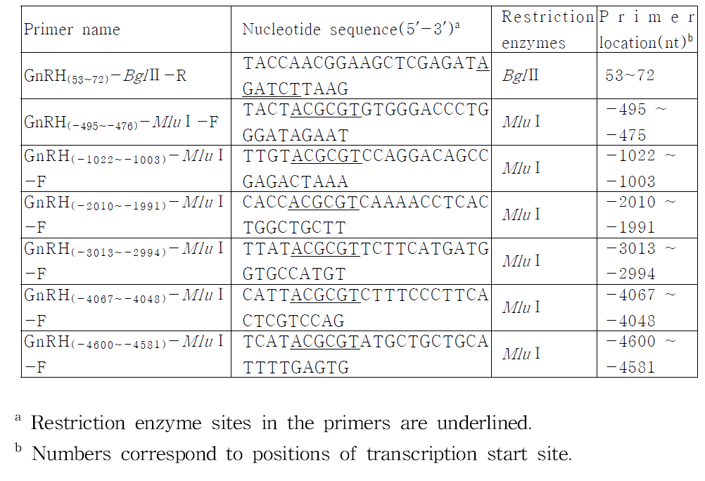 Primers used for the construction of GnRH promoter fragments