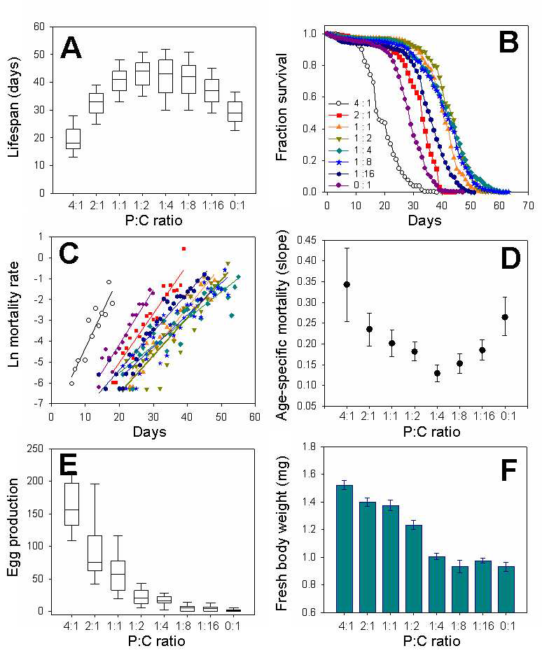 단백질과 탄수화물의 조성에 따른 초파리의 (A) 수명 [중간값, (25%, 75%)], (B) 생존 곡선, (C, D) 연령 특이적 사망률 (평균 ± 95%신뢰구간), (E) 산란 수 [중간값, (25%, 75%)], 그리고 (F) 몸무게 (평균 ± 표준오차)