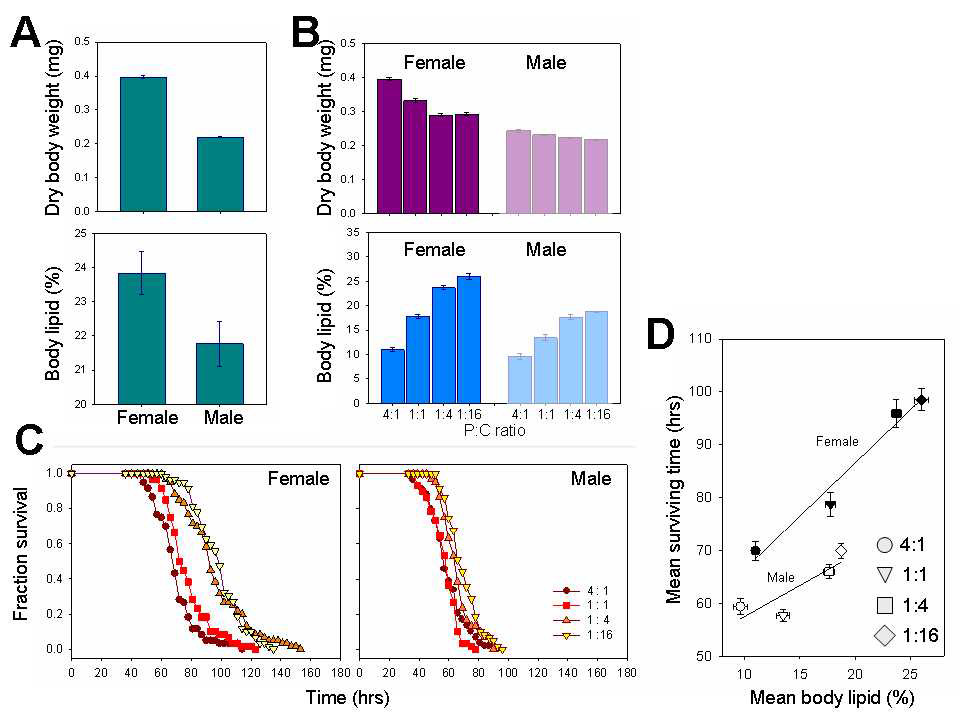 (A) Day 0, 암수 초파리의 몸무게와 체지방 함량 (평균, 표준오차), (B) Day 5, 암수 초파리의 몸무게와 체지방 함량, (C) 기아 상황시 생존 곡선, (D) 체지방 함량 vs. 기아 생존 시간 (암,수). [평균 ± 표준오차]